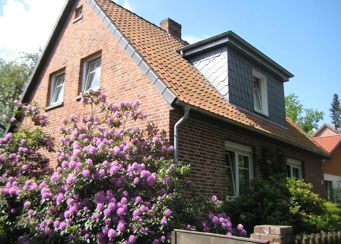 Boer